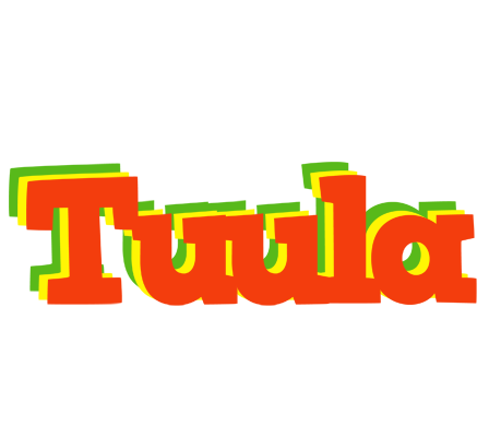 Tuula bbq logo