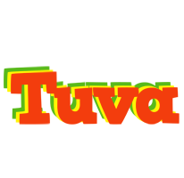 Tuva bbq logo