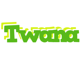 Twana picnic logo