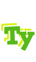 Ty picnic logo