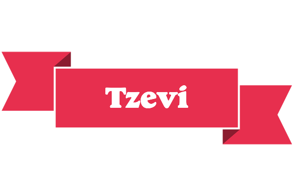 Tzevi sale logo