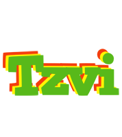 Tzvi crocodile logo