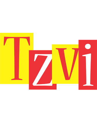 Tzvi errors logo