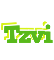 Tzvi picnic logo