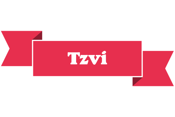 Tzvi sale logo