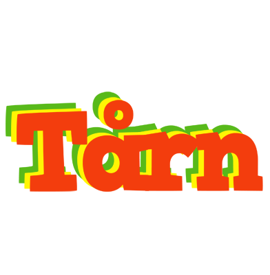 Tårn bbq logo