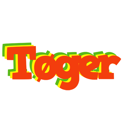 Tøger bbq logo
