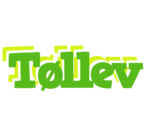 Tøllev picnic logo