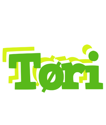 Tøri picnic logo