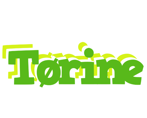 Tørine picnic logo