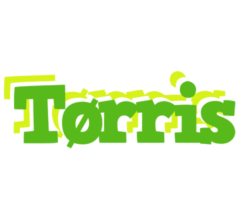 Tørris picnic logo