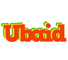 Ubaid bbq logo