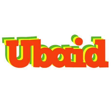Ubaid bbq logo