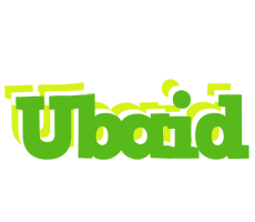 Ubaid picnic logo