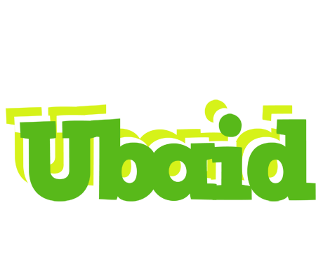 Ubaid picnic logo