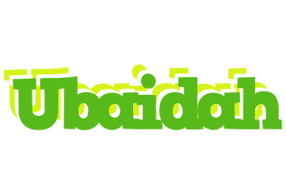 Ubaidah picnic logo