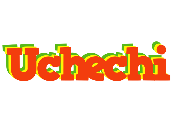 Uchechi bbq logo