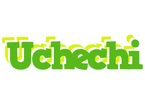 Uchechi picnic logo