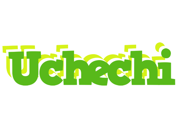 Uchechi picnic logo