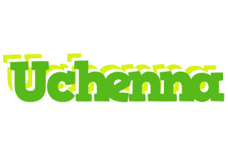 Uchenna picnic logo