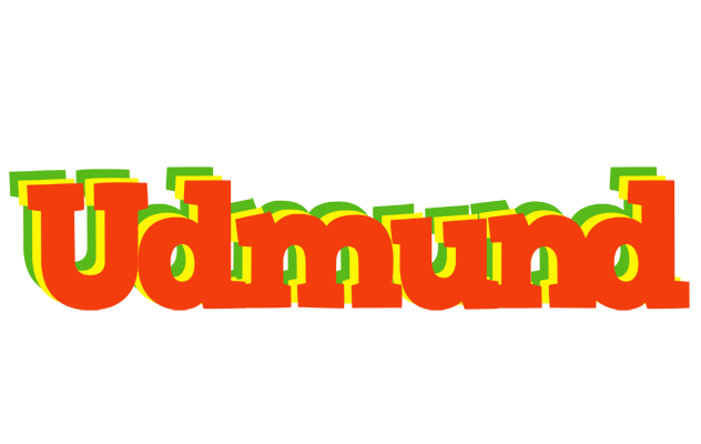 Udmund bbq logo