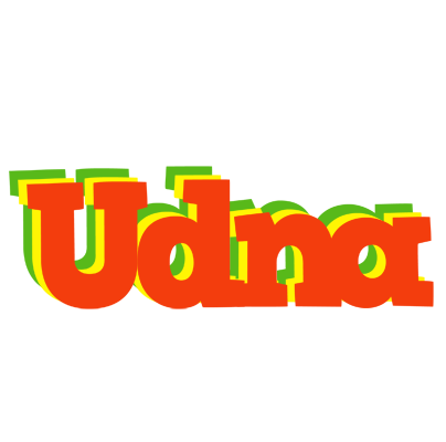 Udna bbq logo
