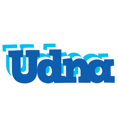 Udna business logo