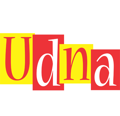 Udna errors logo