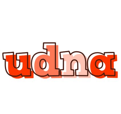 Udna paint logo
