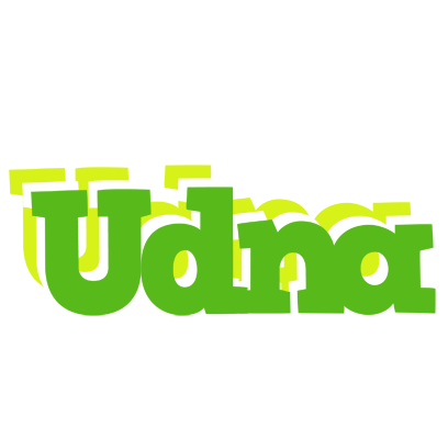 Udna picnic logo
