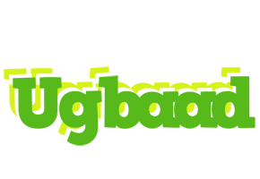 Ugbaad picnic logo