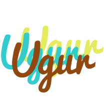 Ugur cupcake logo