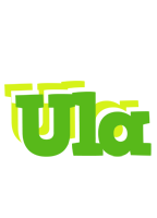 Ula picnic logo