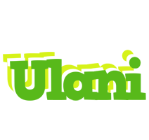 Ulani picnic logo