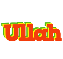 Ullah bbq logo