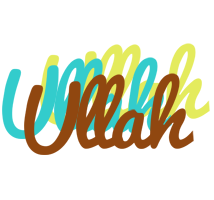 Ullah cupcake logo