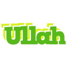 Ullah picnic logo