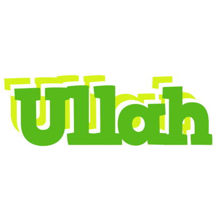 Ullah picnic logo
