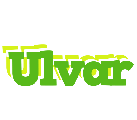 Ulvar picnic logo