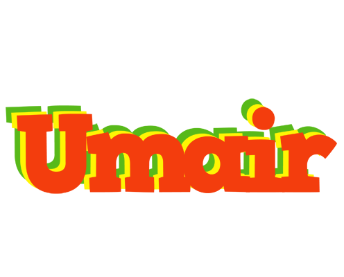 Umair bbq logo