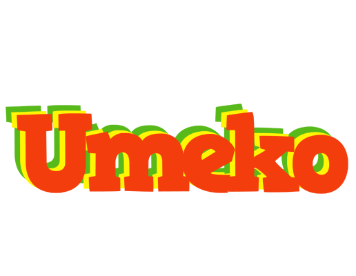 Umeko bbq logo