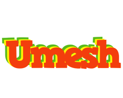 Umesh bbq logo