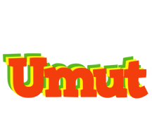 Umut bbq logo