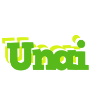 Unai picnic logo