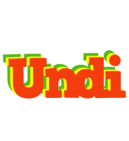 Undi bbq logo