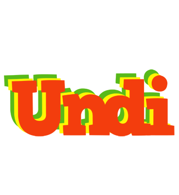 Undi bbq logo