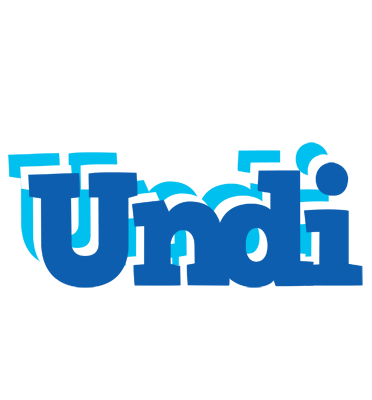 Undi business logo