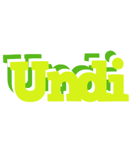 Undi citrus logo