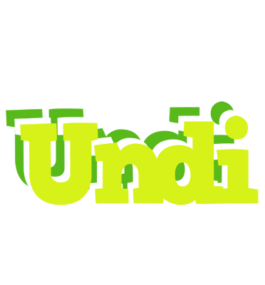Undi citrus logo