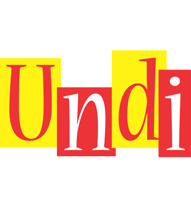 Undi errors logo